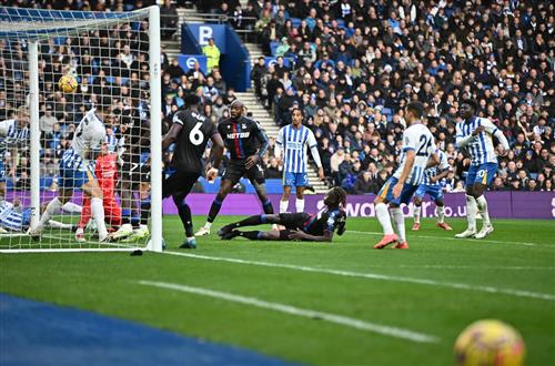 Brighton x Crystal Palace