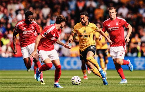 Nottingham Forest x Lobos